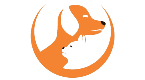 Petplanettoday.com