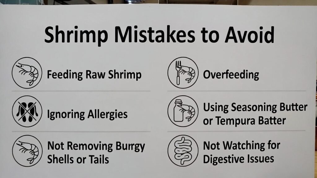 Common Mistakes Dog Owners Make With Can Dogs Eat Shrimp

1. Feeding raw shrimp (can dogs eat shrimp raw)

2. Overfeeding

3. Ignoring allergies

4. Using seasoning, butter, or tempura batter

5. Not removing shells or tails

6. Not watching for digestive issues

Image Suggestion: Infographic “Shrimp Mistakes to Avoid.”can dogs eats shrimp